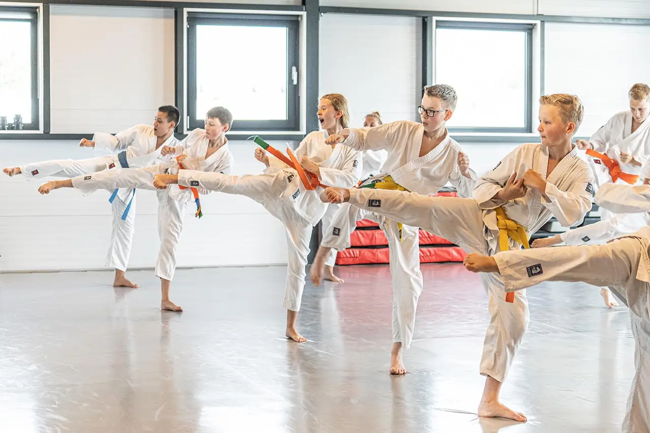 Karateka's oefenen een trap